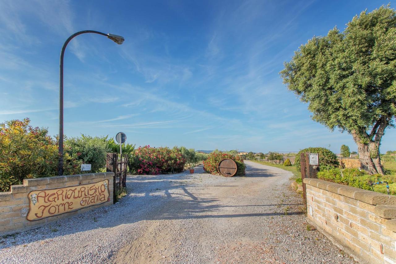 Agriturismo Torre Flavia لاديسْبولِ المظهر الخارجي الصورة